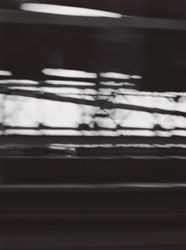 24707443_6837095.jpg