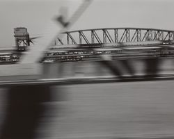 24707444_3413285.jpg