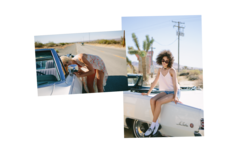25294882_diptychCar.png