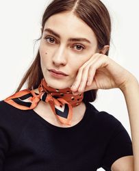25402450_at53.jpg