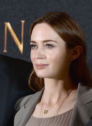 26464516_eblunt310316BZNimage1.jpg