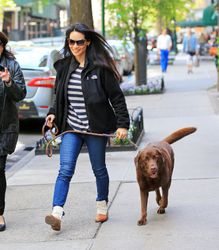 27162932_lliu300416BZNimage4.jpg