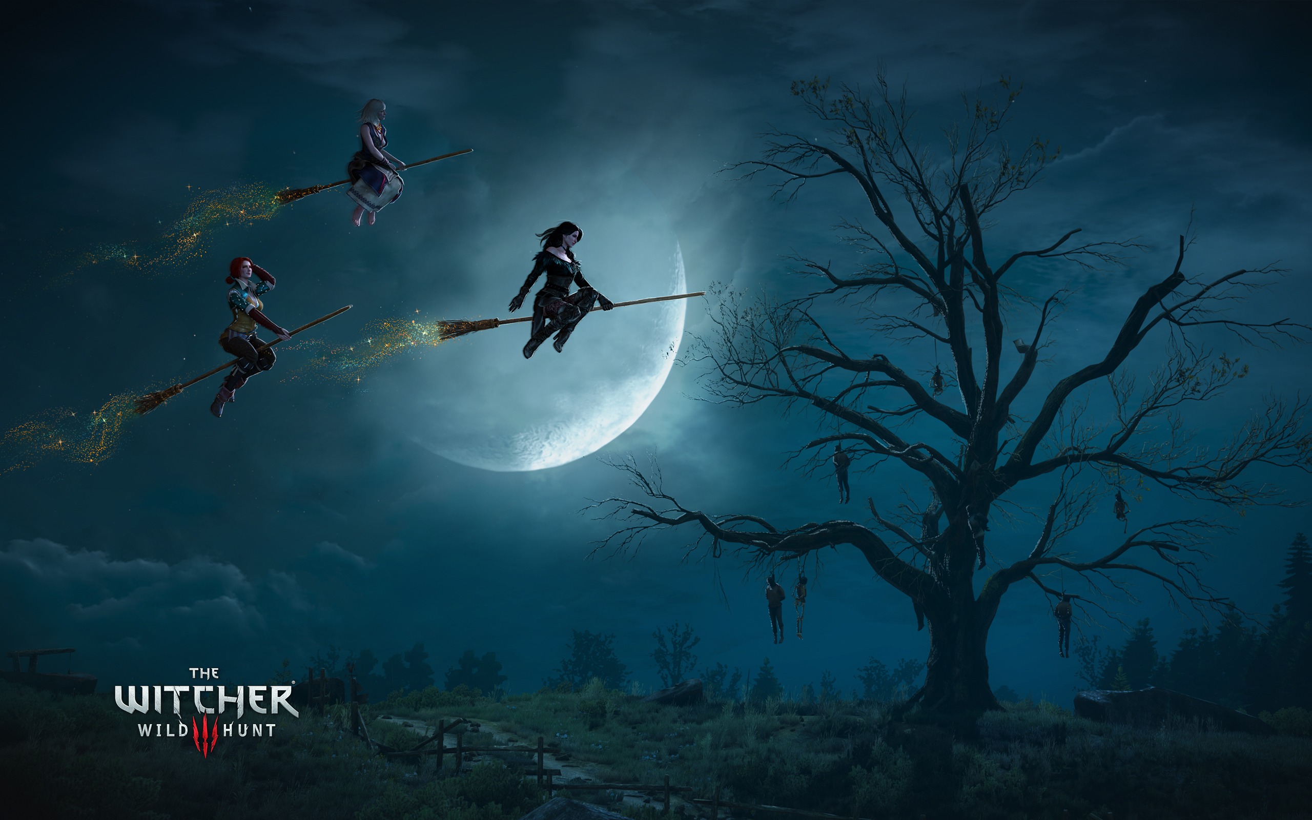 the witcher 3 wild hunt witches wide